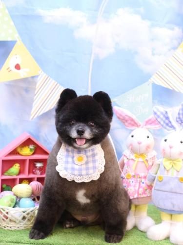 20240331れおくん